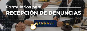01_formulario_denuncias.png