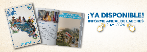 Link al informe anual