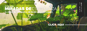 09_concurso_fotografia.png