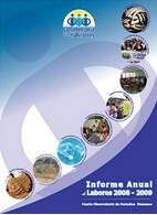 Informe Anual 2008-2009